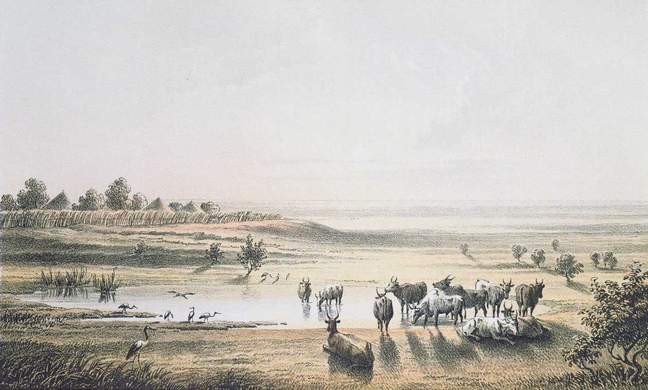 حدود تشاد في عام 1851 ، من "رحلات واكتشافات في شمال ووسط أفريقيا" بقلم هاينريش بارث ، نقش بواسطة J. Woelfjle ، نشر عام 1857 (نقش الألوان) بواسطة يوهان مارتن بيرناتس