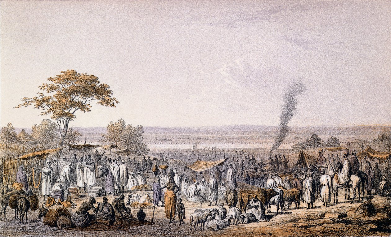 السوق في سوكوتو في عام 1853 ، من "رحلات واكتشافات في شمال ووسط أفريقيا" بقلم هاينريش بارث (1821-1865) منقوش بواسطة إبرهارد إيمينغر (1808-85) منشور عام 1857 (نقش الألوان) بواسطة يوهان مارتن بيرناتس