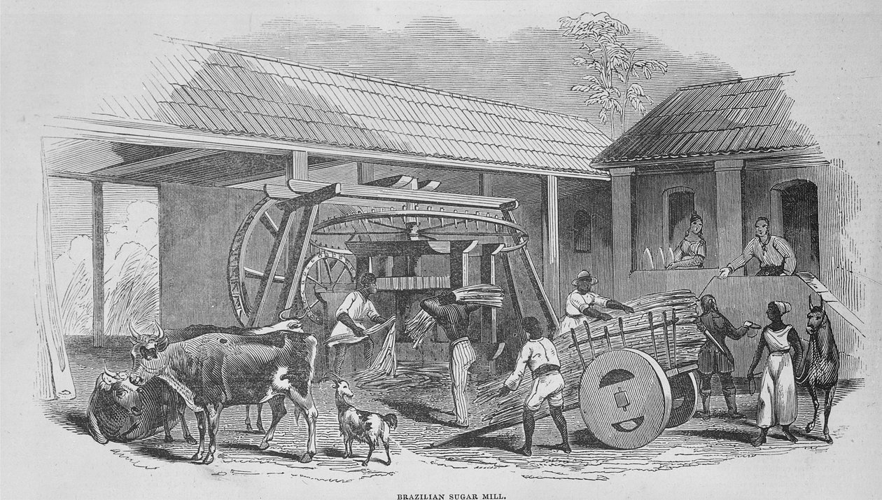 مطحنة السكر ، c.1835 بواسطة يوهان موريتز روجينداس