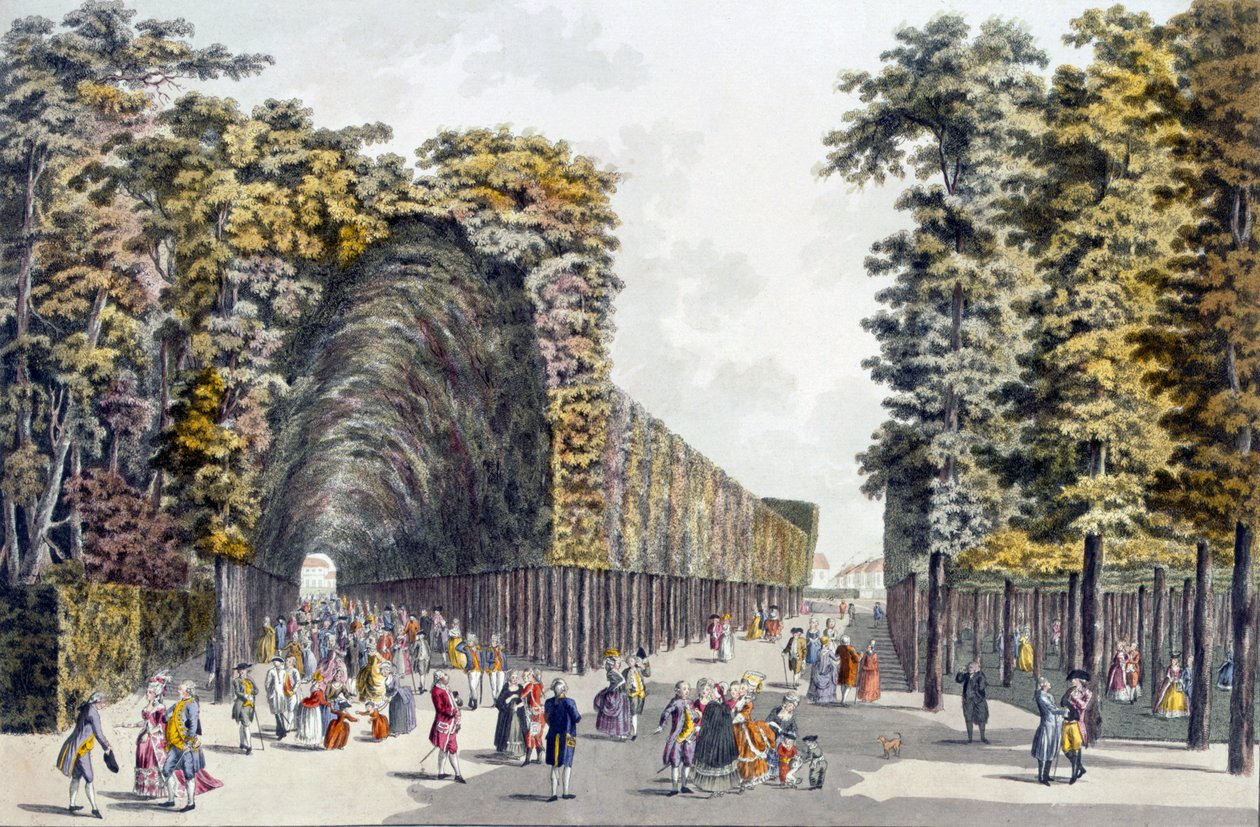Limegrove Walk ، Augarten ، فيينا ، 1790s بواسطة جون زيجلر