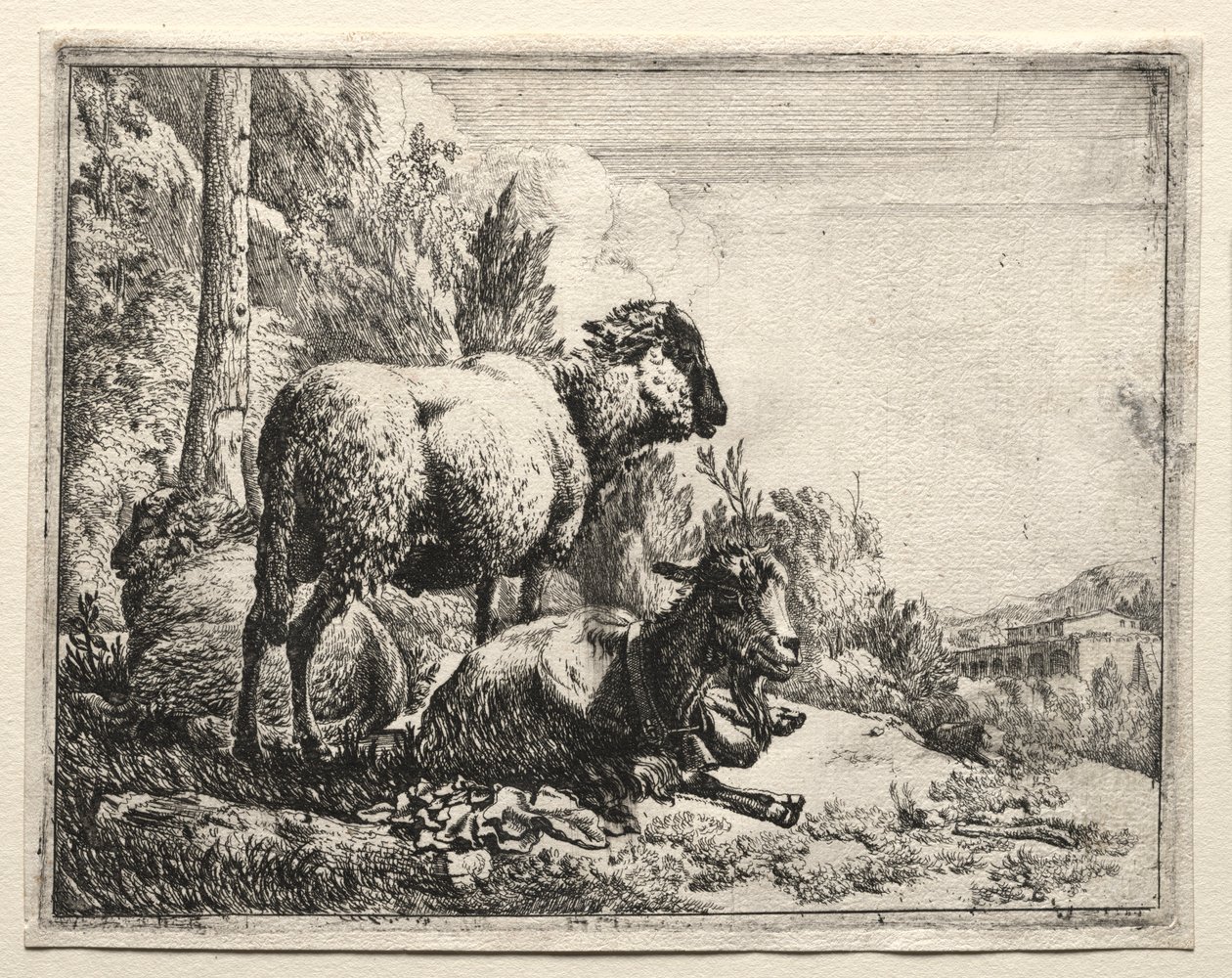 الماعز مع الجرس ، 1665. بواسطة يوهان هاينريش روس