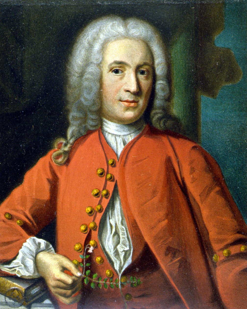 كارل فون ليني عالم الطبيعة والكاتب السويدي (1707 - 1778) - بقلم جيه إتش شيفيل ، في "بورتريه ليني" بقلم تايكو تولبيرج بواسطة يوهان هنريك شيفيل