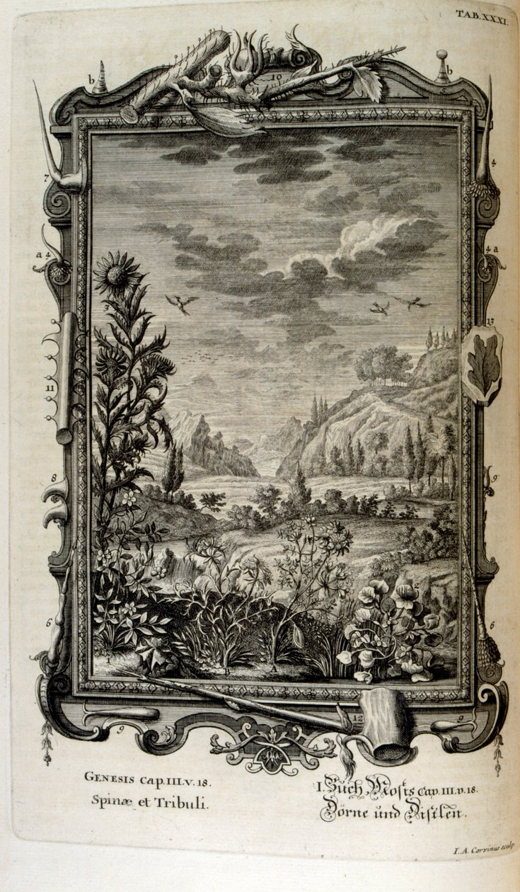 نقش على الصفيحة النحاسية من "Physica Sacra" بواسطة الباحث السويسري. يوهان جاكوب شيوتشر بواسطة يوهان جاكوب شيوتشر