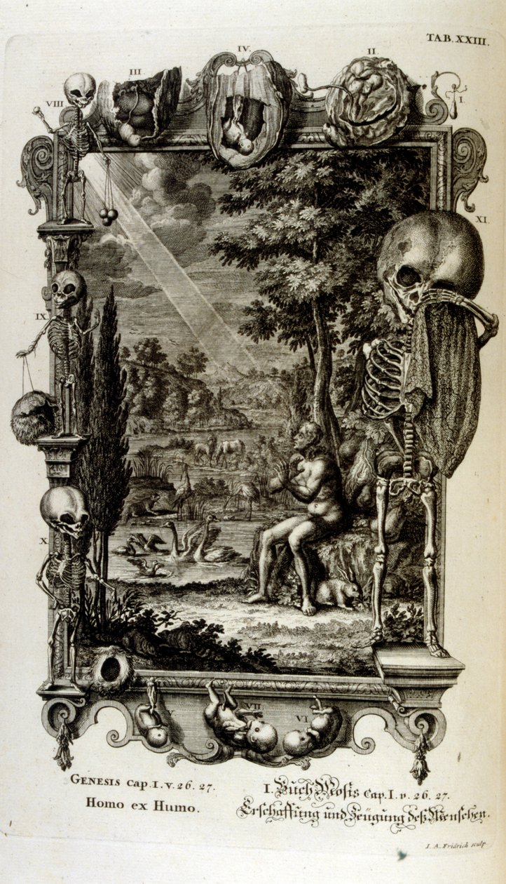 نقش على الصفيحة النحاسية من "Physica Sacra" بواسطة الباحث السويسري. يوهان جاكوب شيوتشر بواسطة يوهان جاكوب شيوتشر