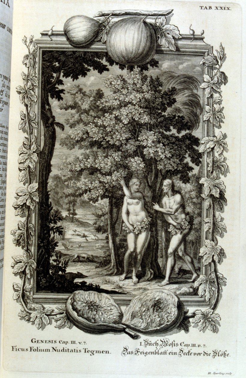 نقش على صفيحة نحاسية من كتاب Physica Sacra للباحث السويسري. يوهان جاكوب شوتشير بواسطة يوهان جاكوب شيوتشر