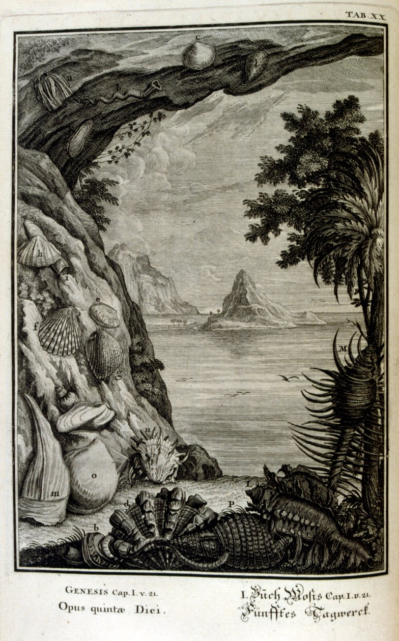 نقش على الصفيحة النحاسية من "Physica Sacra" بواسطة الباحث السويسري. يوهان جاكوب شيوتشر بواسطة يوهان جاكوب شيوتشر