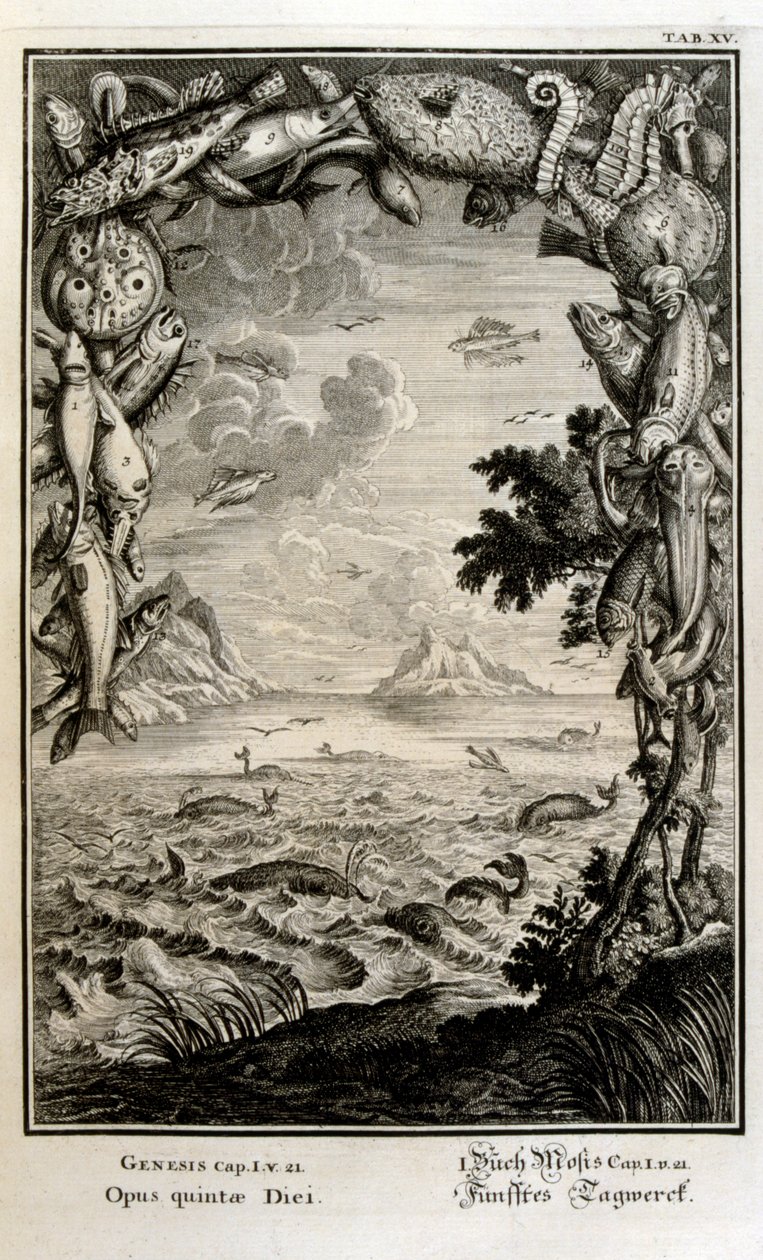 نقش على الصفيحة النحاسية من "Physica Sacra" بواسطة الباحث السويسري. يوهان جاكوب شيوتشر بواسطة يوهان جاكوب شيوتشر