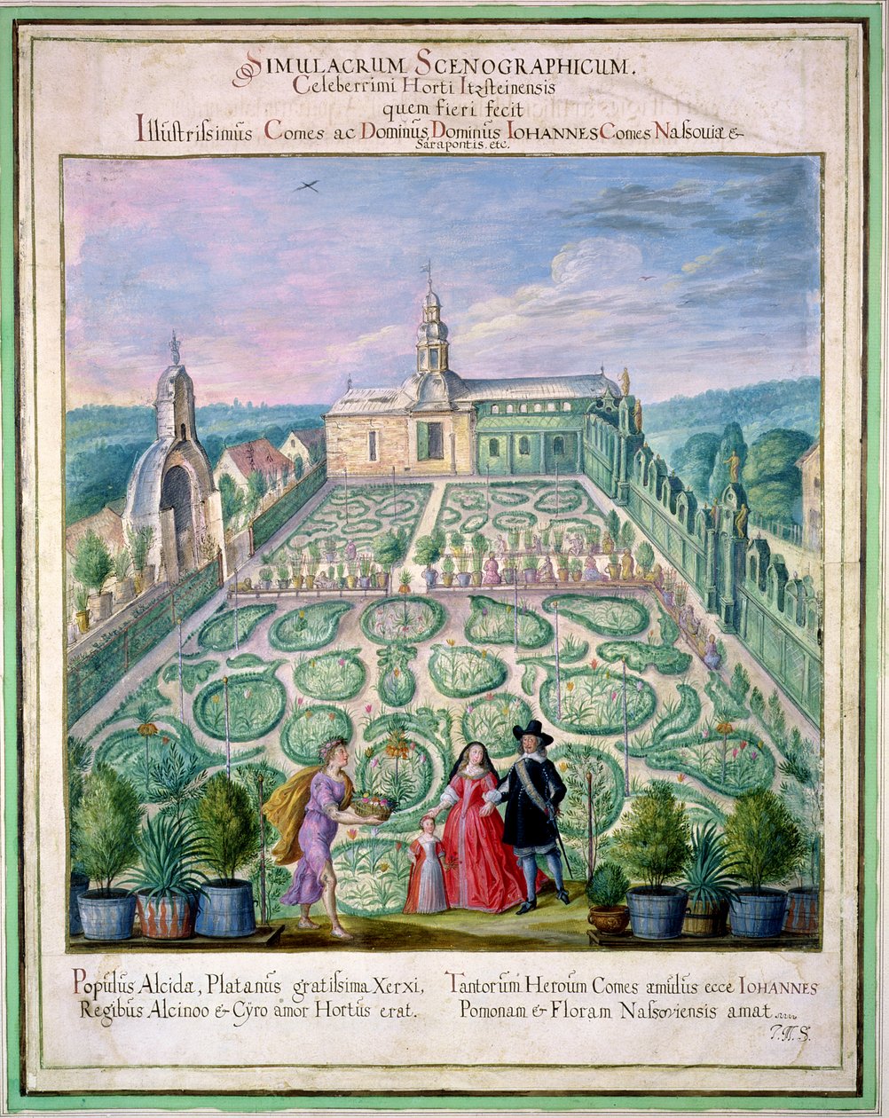 الحديقة الهولندية ، من &39;Nassau Florilegium&39; ، 1650 بواسطة يوهان جاكوب والثر