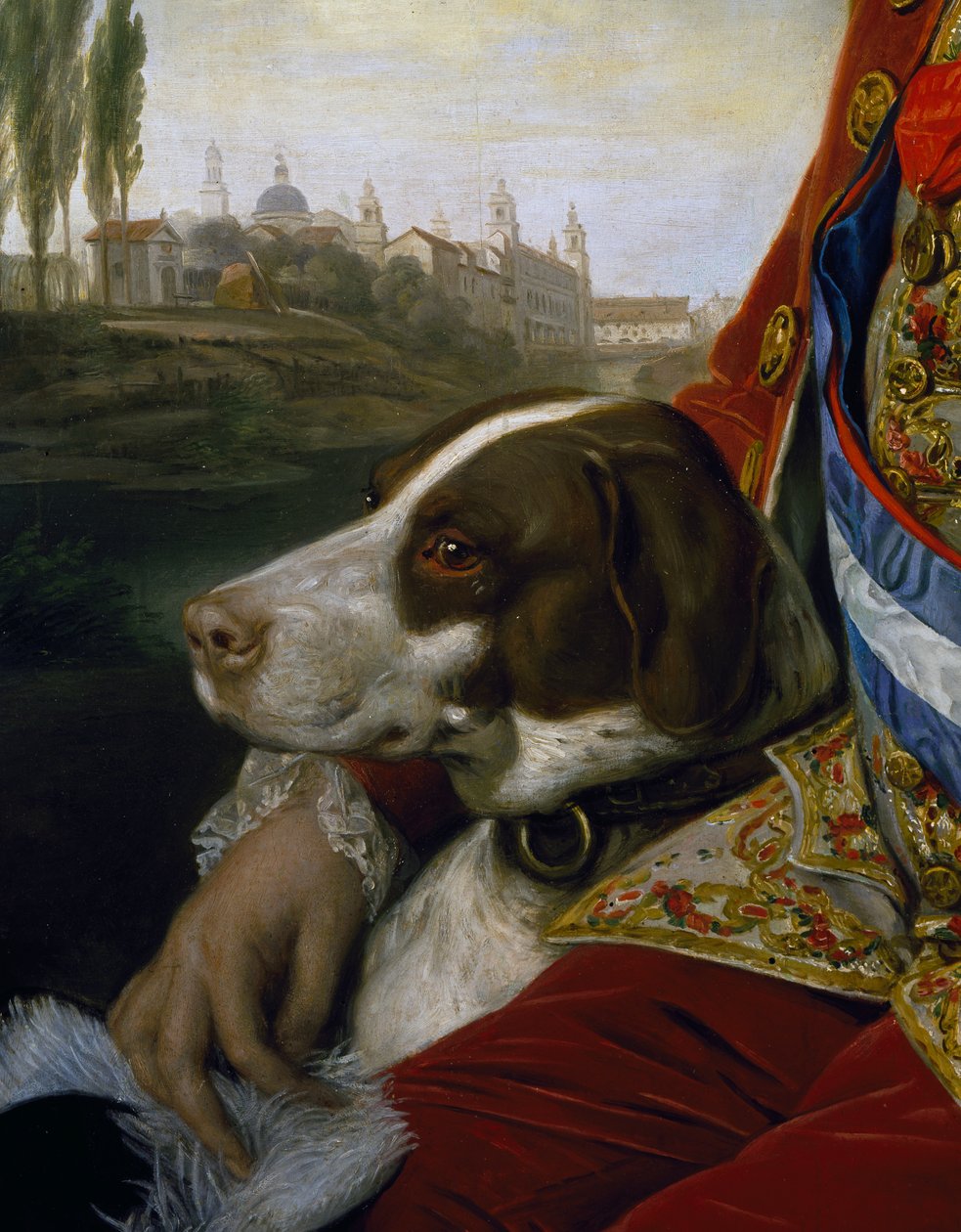 Dog, detail from portrait of Ferdinand of Bourbon, Duke of Parma بواسطة يوهان زوفاني