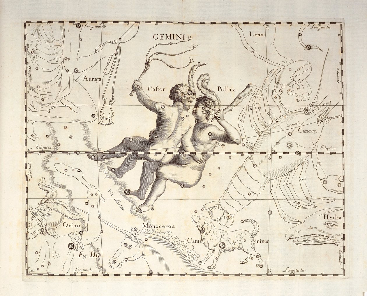 برج الجوزاء من برج الجوزاء ، نقش من الأطلس السماوي Firmamentum Sobiescianum sive Uronographia ، بقلم يوهان هيفيليوس (1611-1687) ، غدانسك بواسطة يوهانس هيفيليوس