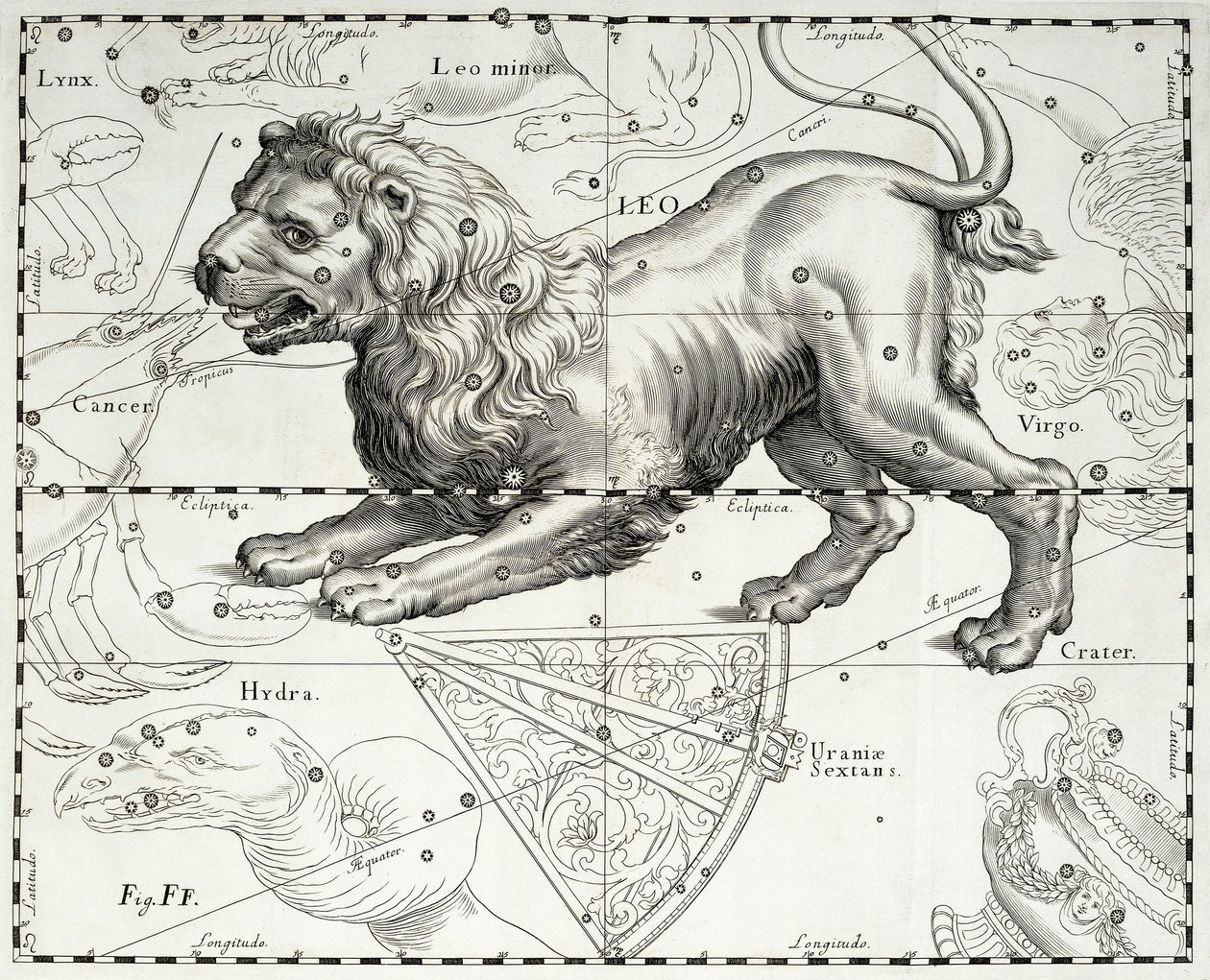 Leo, zodiacal constellation of Lion, illustration taken from Johann Hevelius