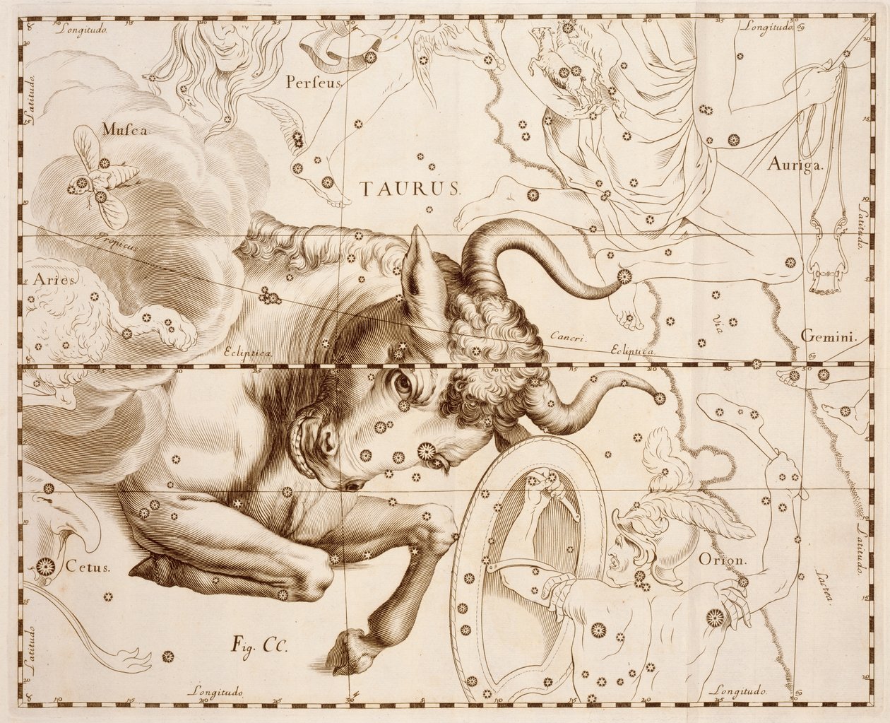 برج الثور (علامة البروج) ، نقش من Firmamentum Sobiescianum sive Uranographia ، كتالوج النجوم الكامل ، بقلم يوهان هيفيليوس (1611-1687) ، مطبوع في غدانسك بواسطة يوهانس هيفيليوس