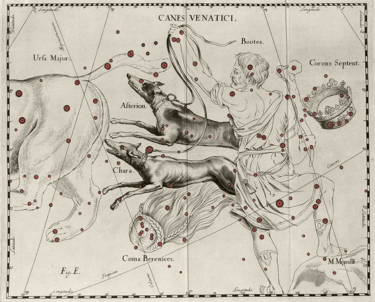 كوكبة قصب Venatici ، كلاب الصيد. لوحة مرسومة من "" Firmamentum Sobiescanum sive Uranographia "بواسطة يوهانس هيفيليوس أو هيفيل (1611-1687) بواسطة يوهانس هيفيليوس