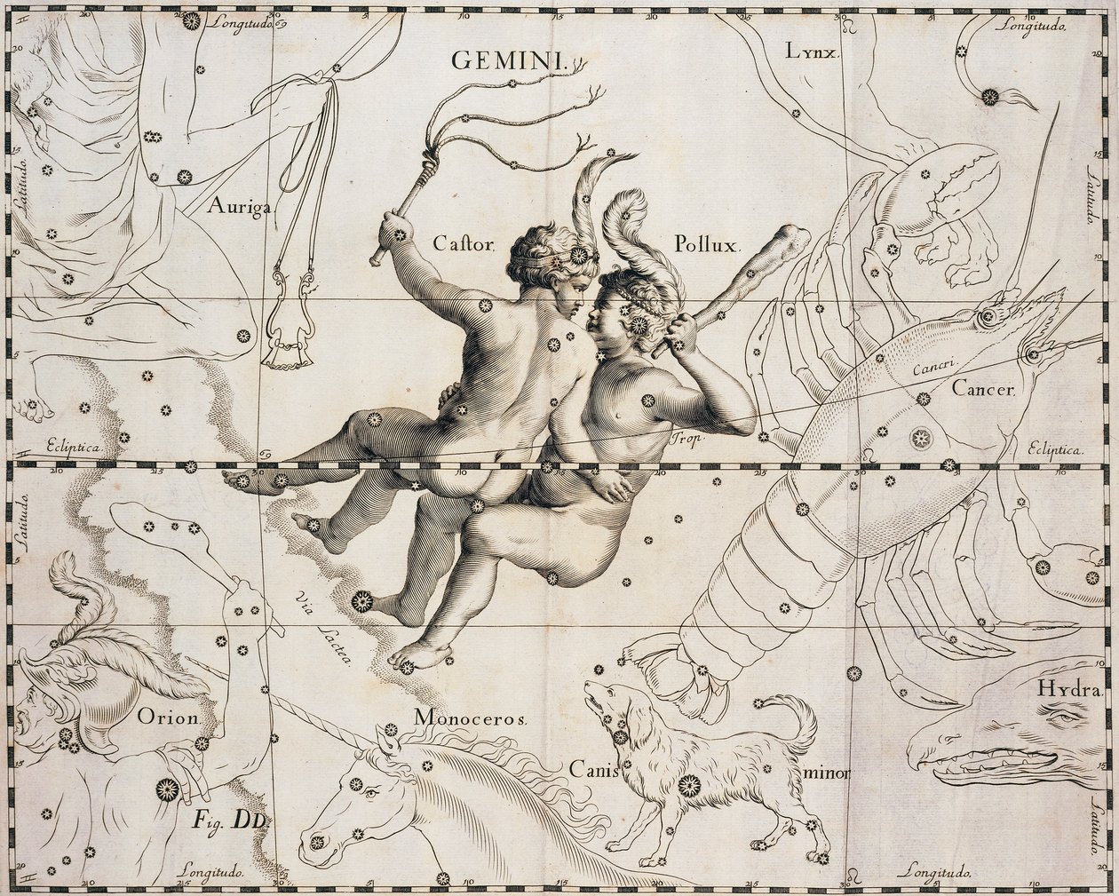كوكبة الجوزاء ، رسم توضيحي من Firmmentum Sobiescianum أو Uranographia ، بقلم يوهان هيفيليوس (1611-1687) ، غدانسك 1690 بواسطة يوهانس هيفيليوس