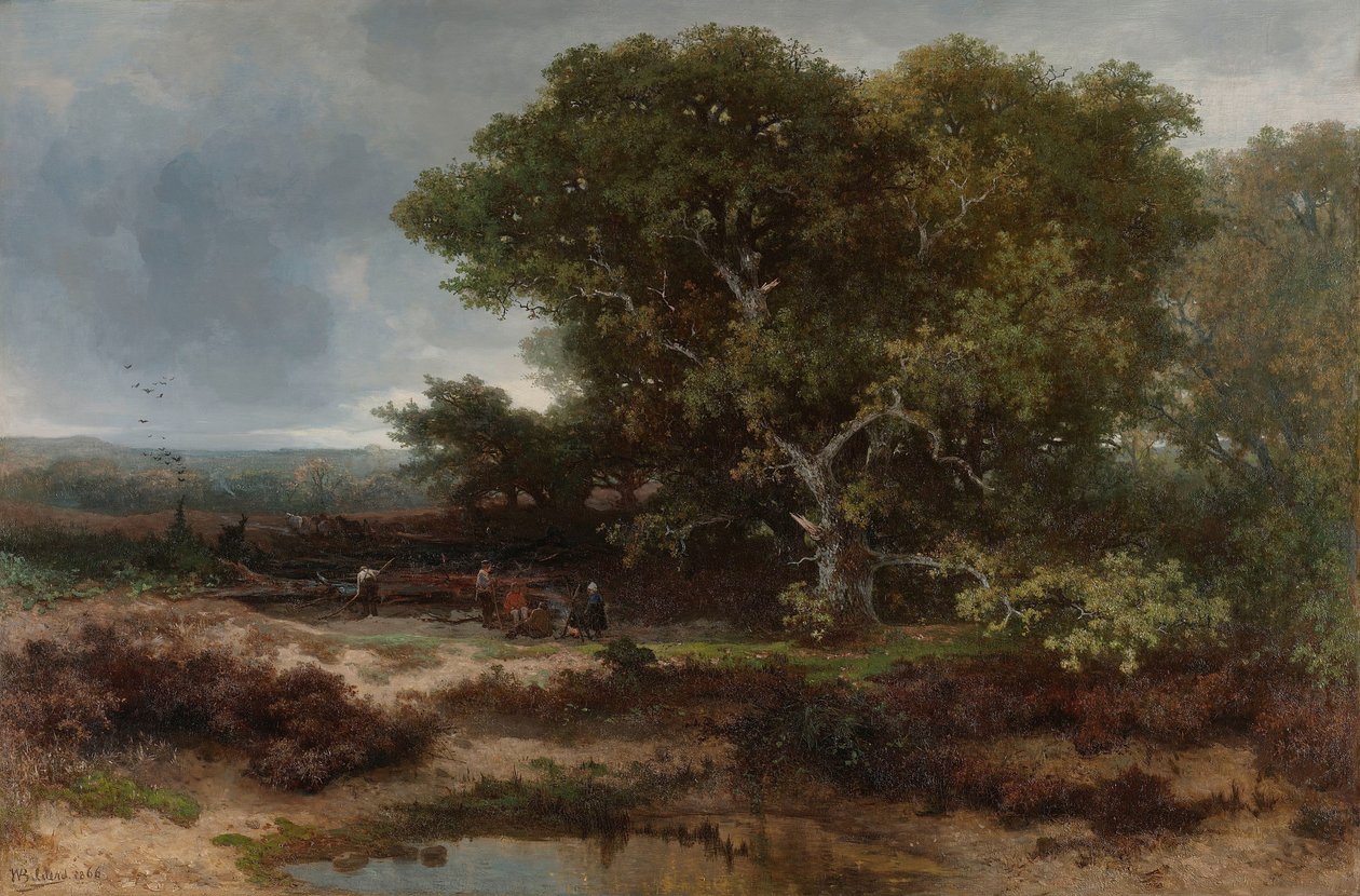 The Heath بالقرب من Wolfheze بواسطة صور يوهانس وارناردو