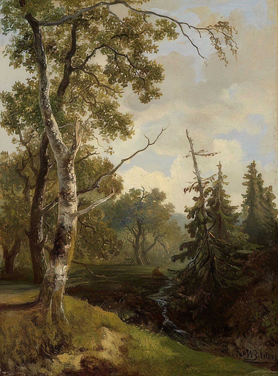 Waldstück bei Wolfheze (منظر الغابات بالقرب من Wolfheze) بواسطة صور يوهانس وارناردو