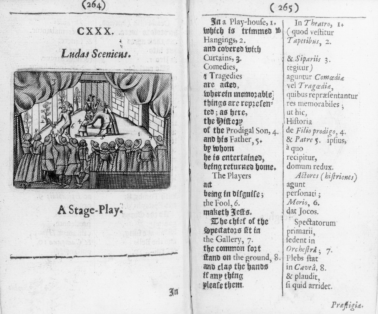 سباقات البنين من World Sensualium Pictus ، 1658 بواسطة جون أموس كومينيوس