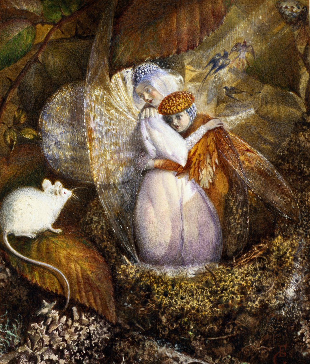 Fairy Lovers in a Bird&39;s Nest Watching a White Mouse، c.1860 (wc und bodycolour on paper) بواسطة جون أنستر فيتزجيرالد
