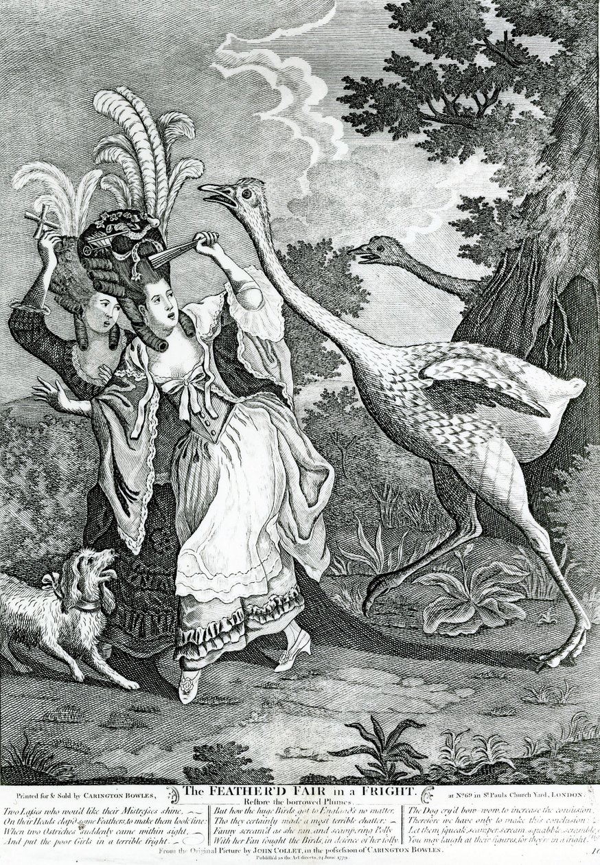 صديق الريش في خوف ، 1779 بواسطة جون كوليت