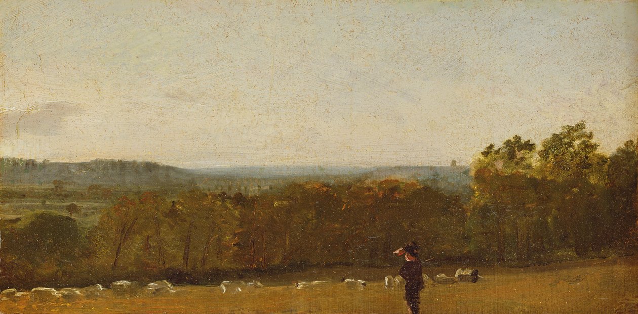 الراعي في المناظر الطبيعية عبر Dedham Vale نحو Langham ، c.1810 (زيت على ورق موضوع على قماش) بواسطة جون كونستابل