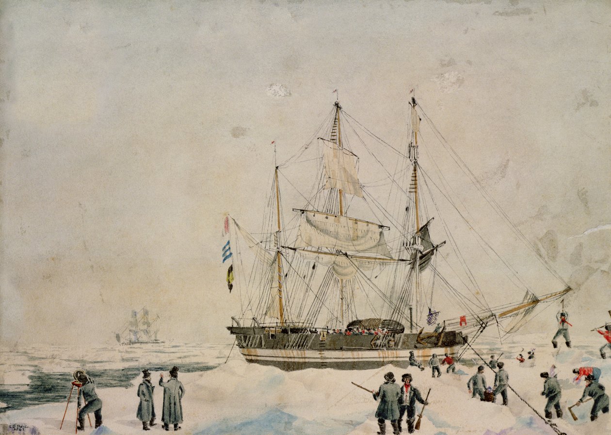 المشي في العبوة ، روس إكسبيديشن ، 1842 بواسطة جون إدوارد ديفيس