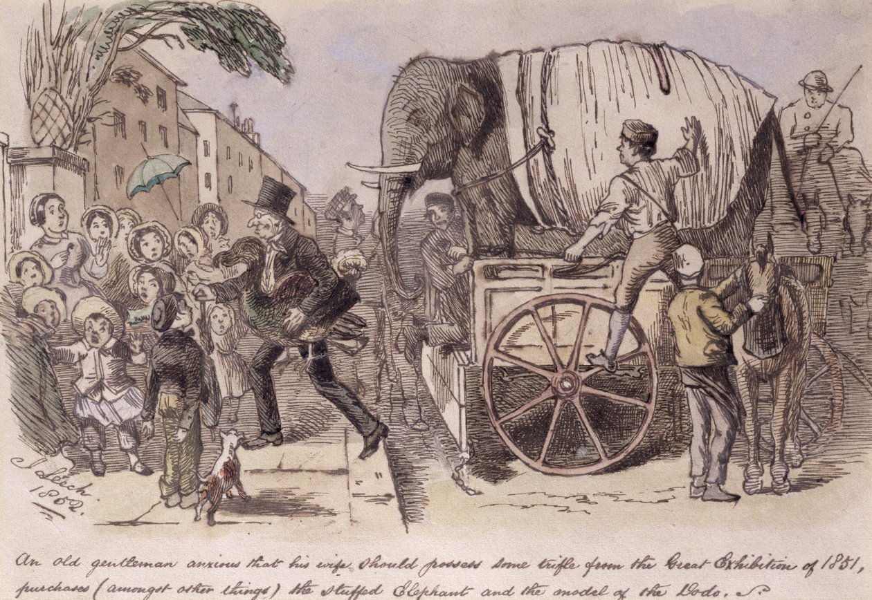 "رجل عجوز حريص على أن تمتلك زوجته بعض التافه من المعرض الكبير عام 1851 ، يشتري (من بين أشياء أخرى) الفيل المحشو ونموذج الدودو" ، رسمها لكمة بواسطة جون ليتش