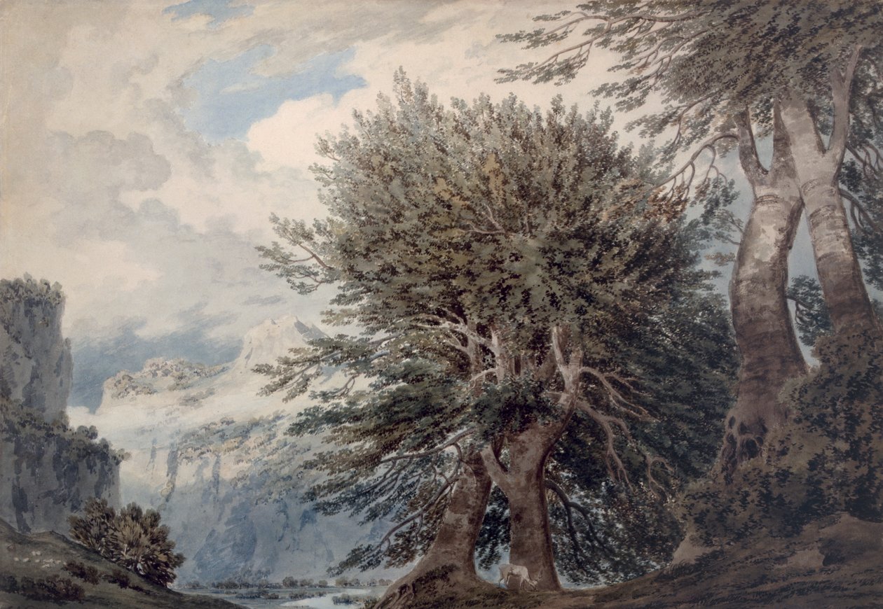 المناظر الطبيعية الجبلية مع أشجار الزان ، 1792 بواسطة جون روبرت Cozens