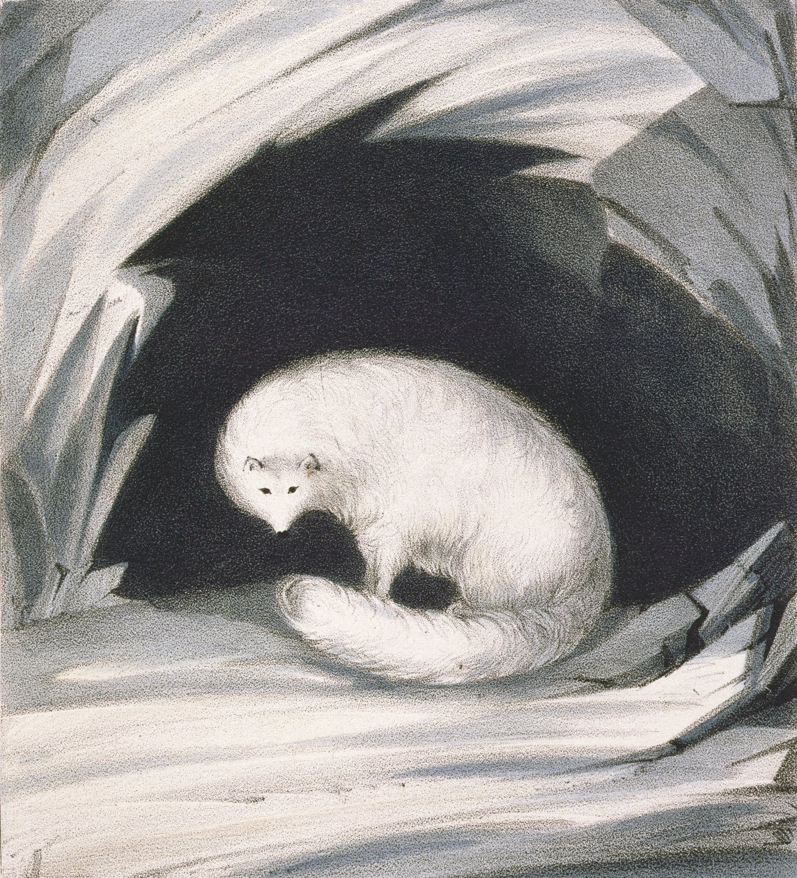 القطب الشمالي فوكس ، من "سرد رحلة ثانية بحثًا عن ممر شمالي غربي (1829-1833)" ، بقلم السير جون روس (1777-1836) ، منقوش بواسطة جون براندارد (1812-63) بواسطة جون روس