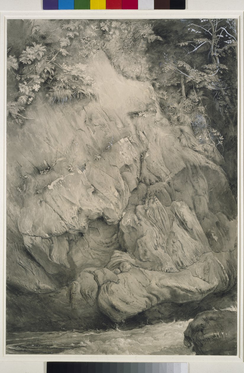 دراسة Gneiss Rock ، Glenfinlas ، 1853-54 (قلم ، غسل وغواش على الورق) بواسطة جون روسكين
