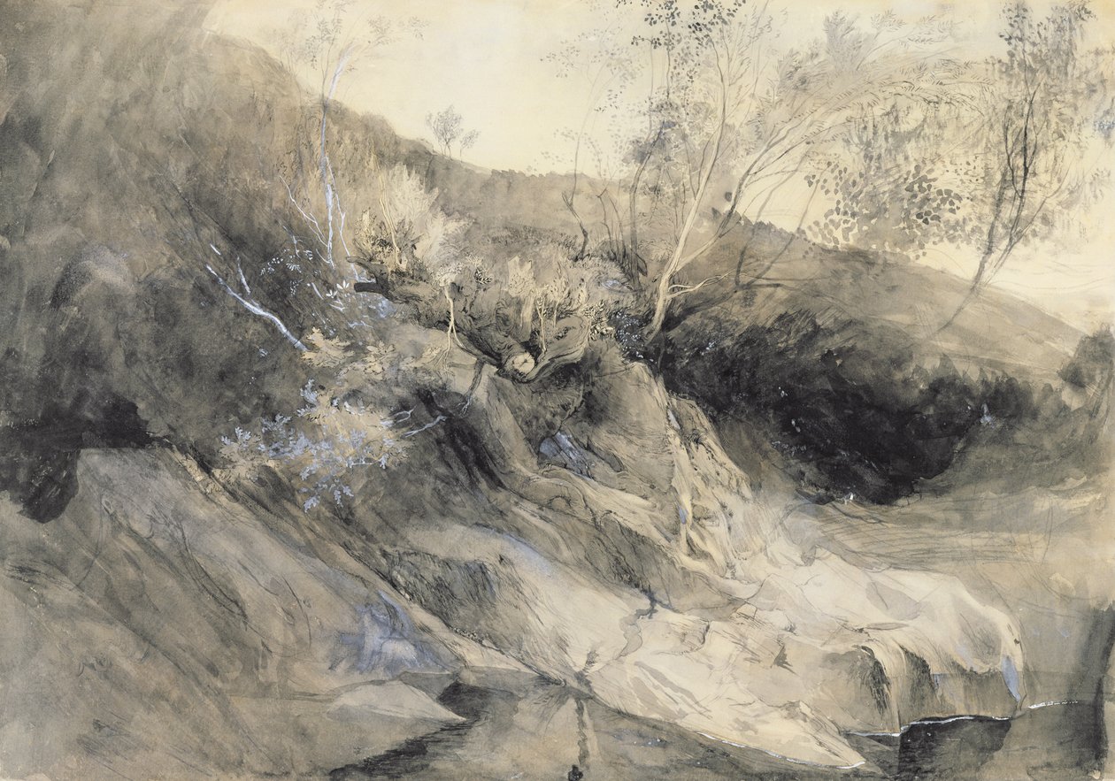 The Rocky Bank of a River - Verso: رسم تخطيطي لأوراق الشجر ، c.1853 (اغسل بالقلم والحبر على الجرافيت على الورق) بواسطة جون روسكين
