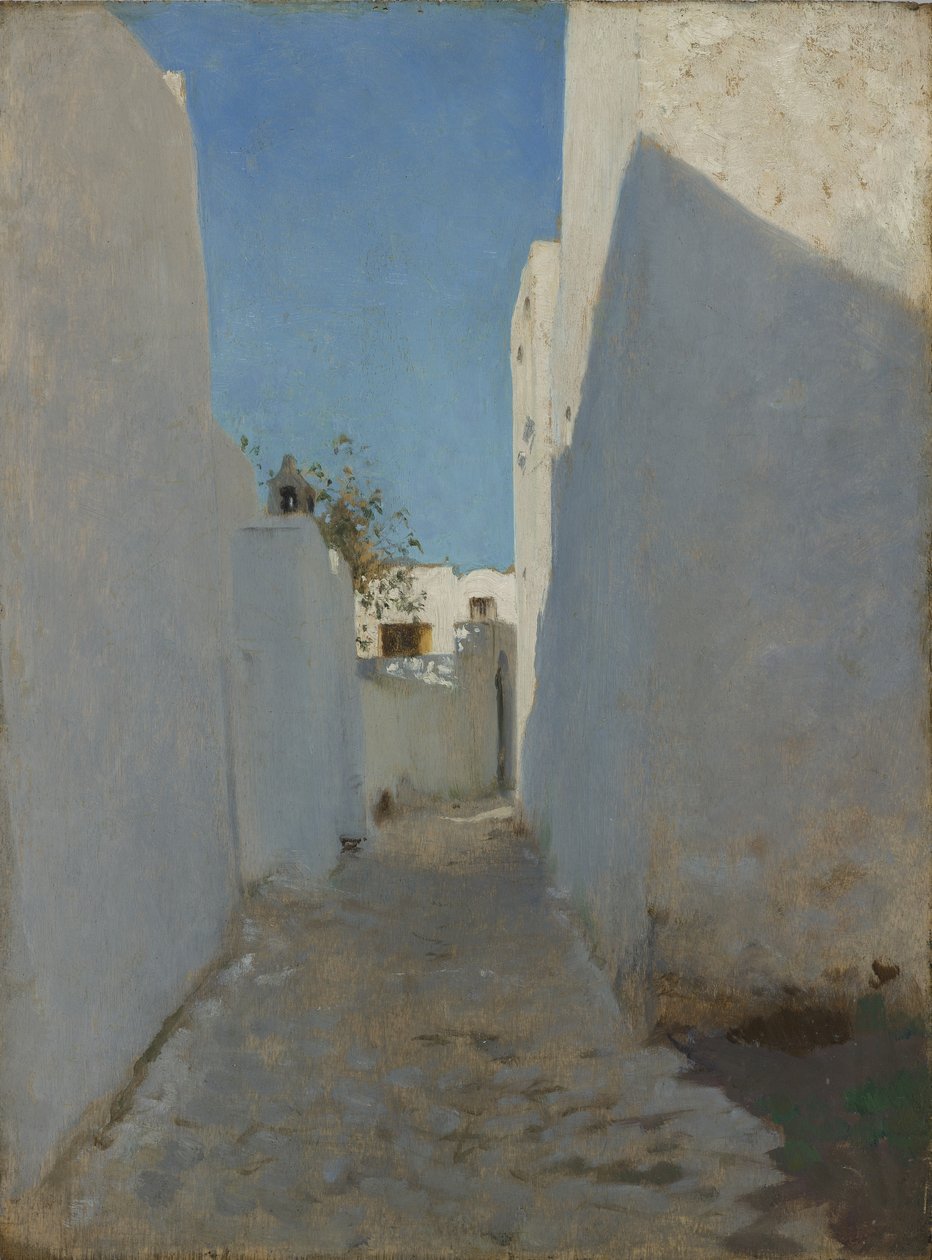 مشهد شارع مغربي ، 1879-1880 (زيت على خشب) بواسطة جون سينغر سارجنت