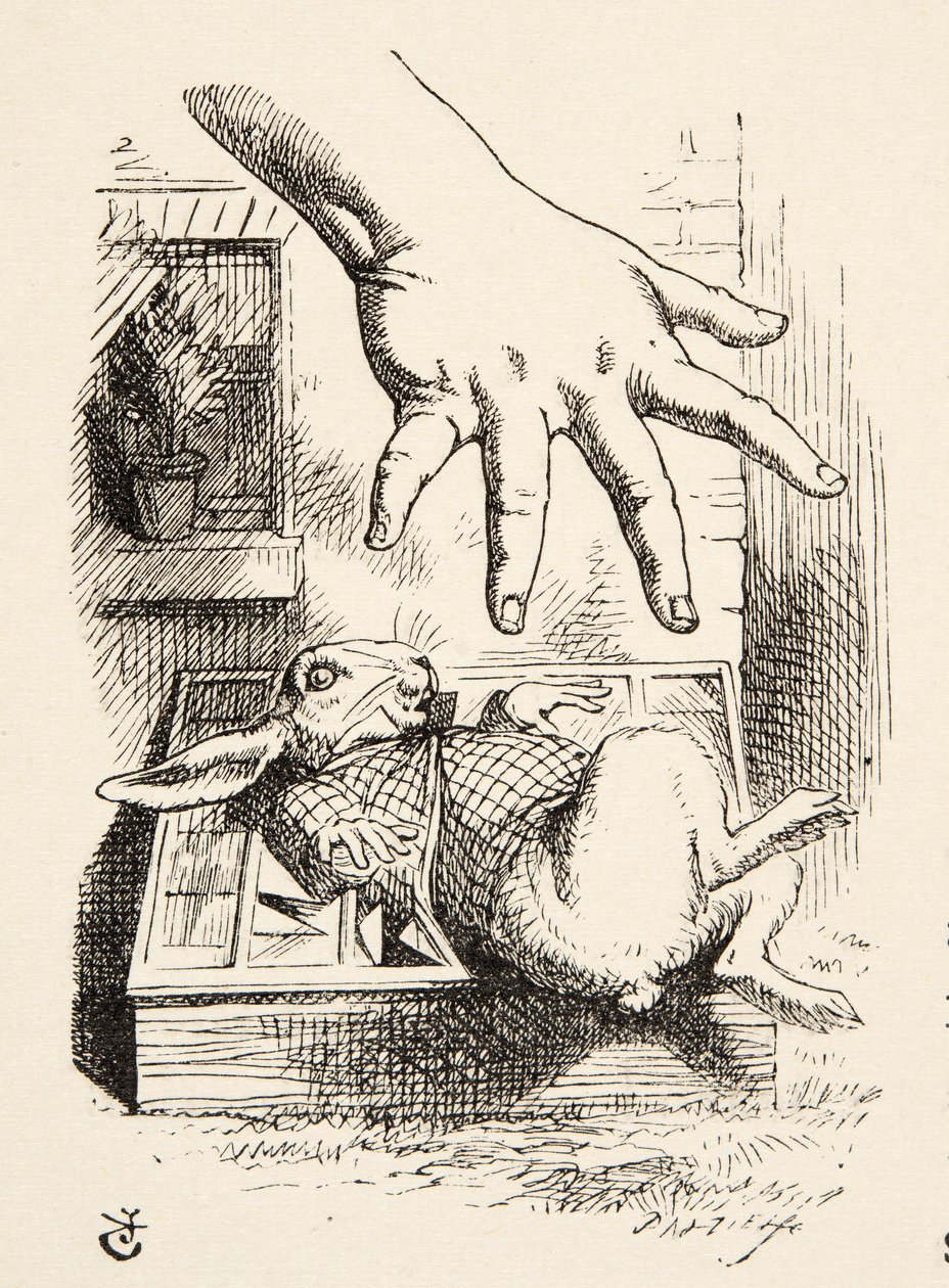 أليس تسقط الأرنب الأبيض ، من Alices Adventures in Wonderland بقلم لويس كارول (1832-98) ، المنشور عام 1891 بواسطة جون تينيل