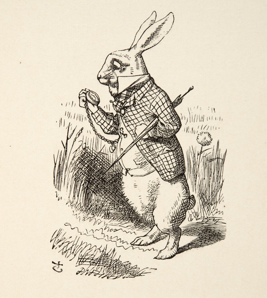الأرنب الأبيض ، من Alices Adventures in Wonderland بقلم لويس كارول (1832-98) ، حانة. 1891 بواسطة جون تينيل
