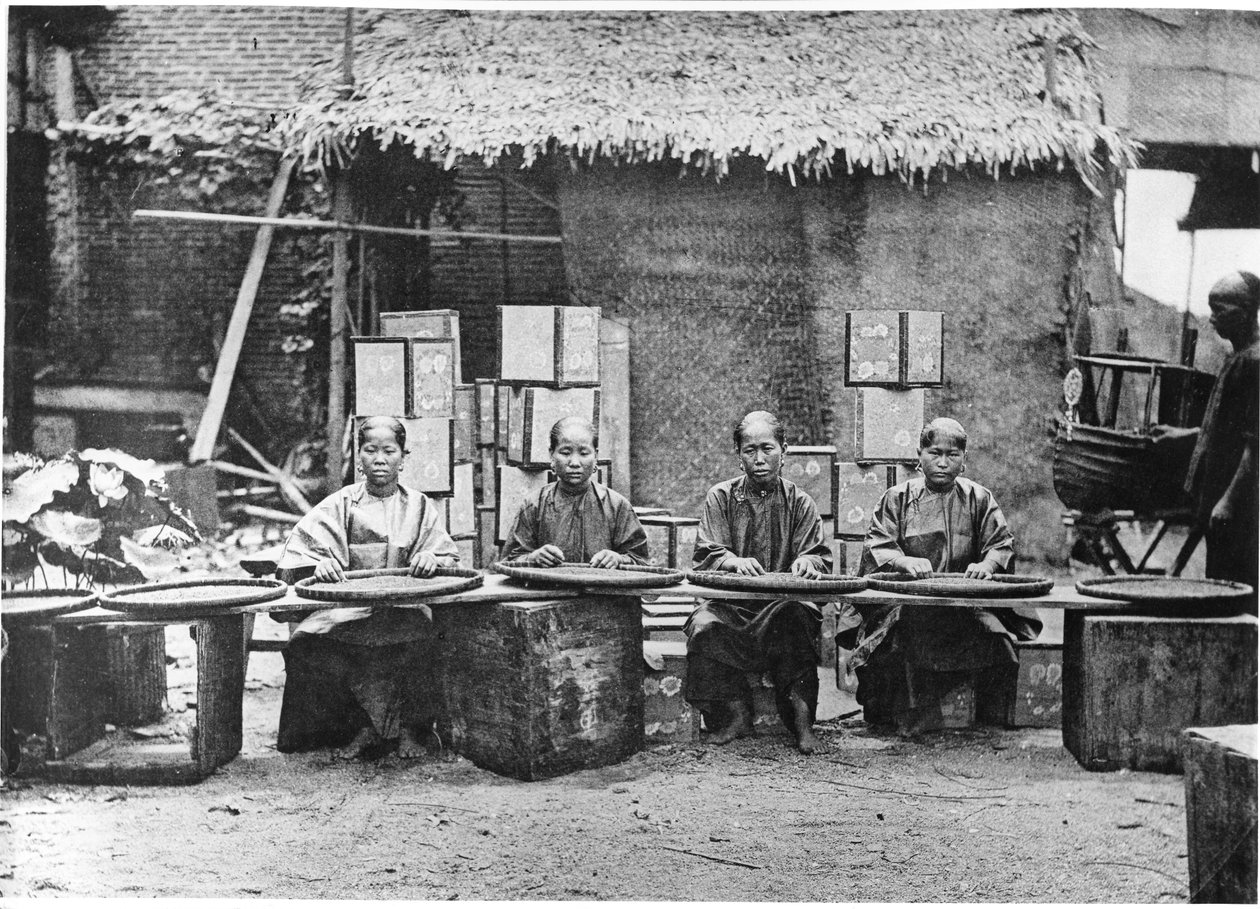 قطف الشاي في كانتون ، 1872 بواسطة جون طومسون