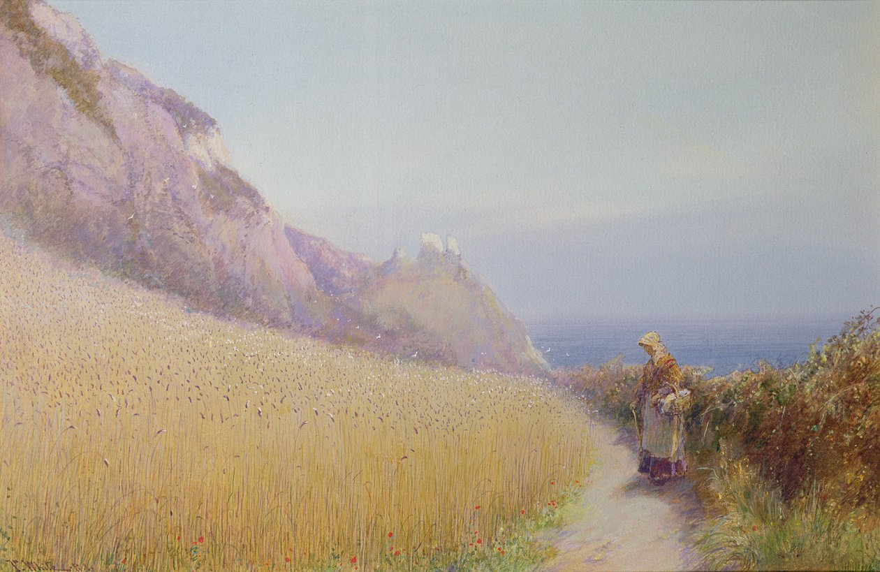 A Cornfield بالقرب من Sidmouth ، ديفون بواسطة جون وايت