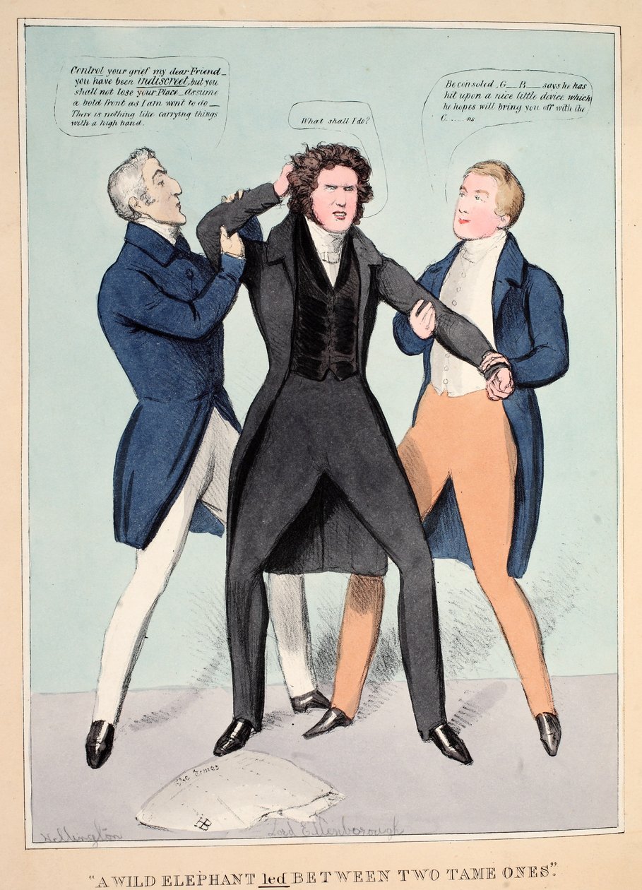 "A Wild Elephant Led Between Two Tame Ones", pub. 1830 (hand coloured engraving) بواسطة جون دويل