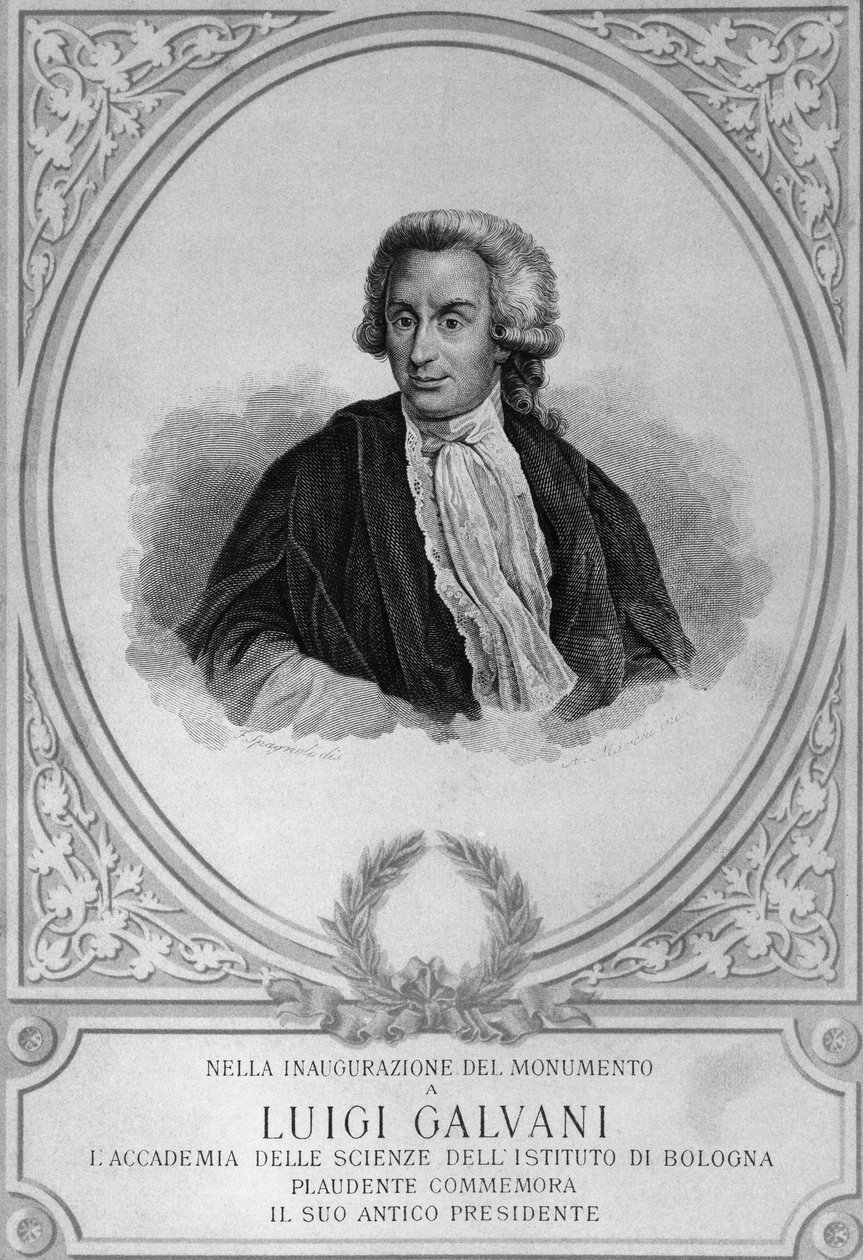 صورة لويجي جالفاني (1737-1798) ، عالم فيزيولوجي ، فيزيائي ، عالم أحياء وعالم تشريح إيطالي ، اكتشف كهرباء الحيوانات ، ورسم بواسطة والتر تشارلز ميلز