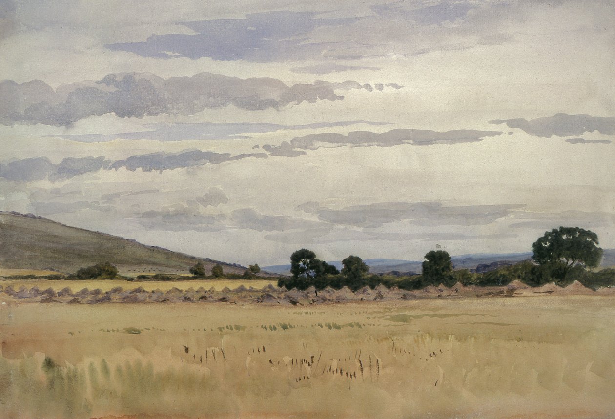 المناظر الطبيعية مع Cornfield (مرحاض على ورق) بواسطة جون أبسولون