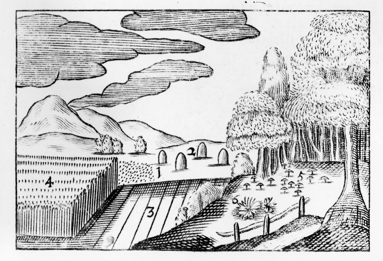 ثمار الأرض ، 1658 بواسطة جون أموس كومينيوس