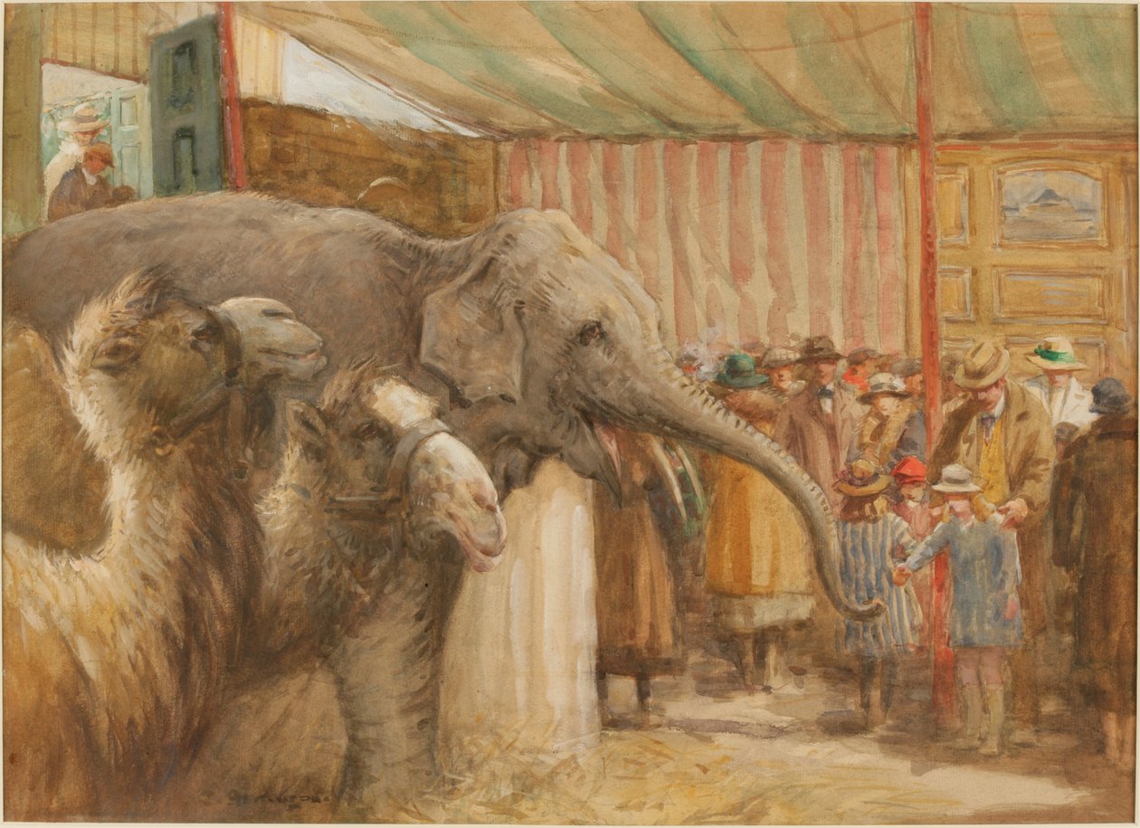 بوستوك و Wombwell&39;s Menagerie (قلم رصاص ومرحاض على ورق) بواسطة جون اتكينسون