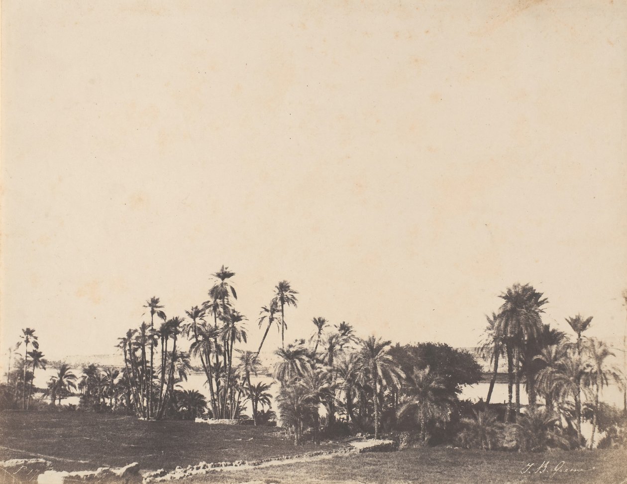 دراسة اشجار النخيل ضفاف النيل كلابشي 1853-54. بواسطة جون بيسلي غرين