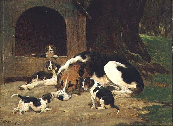 الكلبة Foxhound مع فضلاتها بواسطة جون تشارلتون