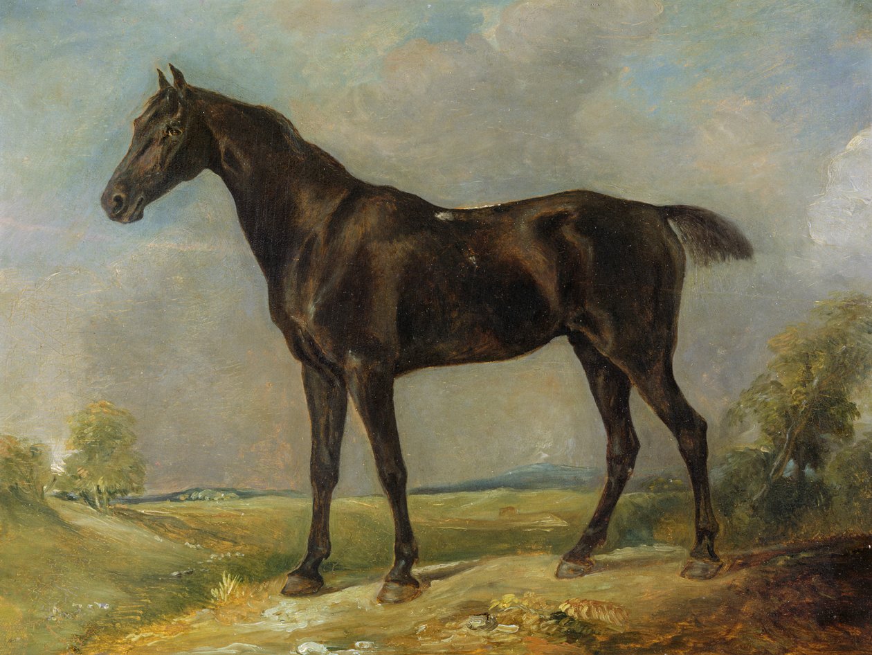 الحصان الأسود لركوب الخيل في Golding Constable ، c.1805-10 بواسطة جون كونستابل