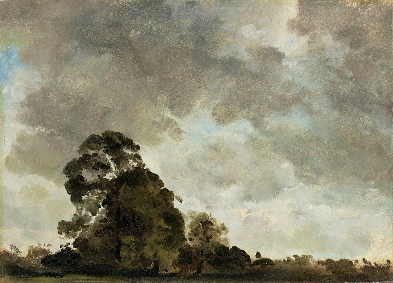 منظر طبيعي في Hampstead ، Tree and Storm Clouds ، c.1821 (زيت على ورق موضوع على لوحة) بواسطة جون كونستابل
