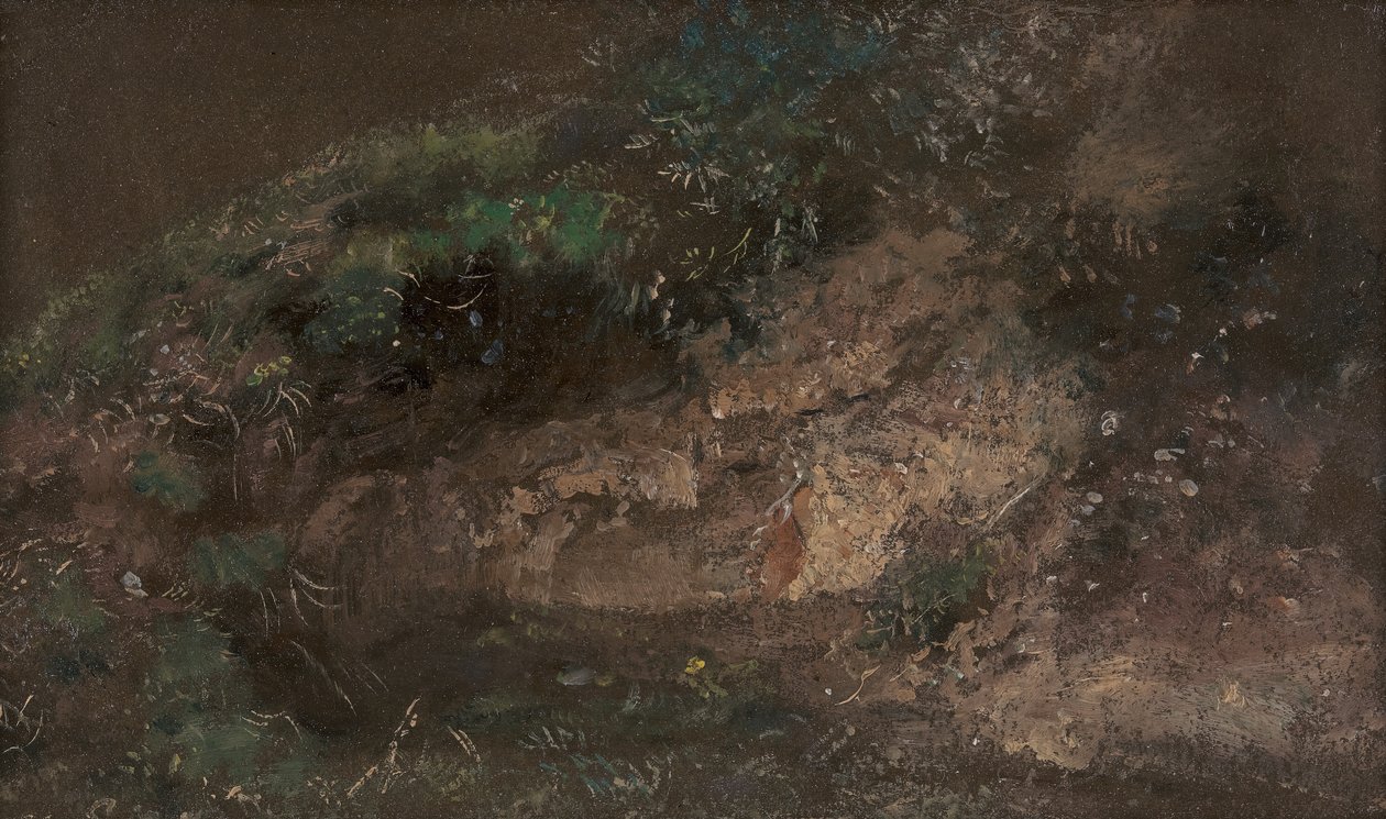 شجيرة ، كاليفورنيا. 1821. بواسطة جون كونستابل