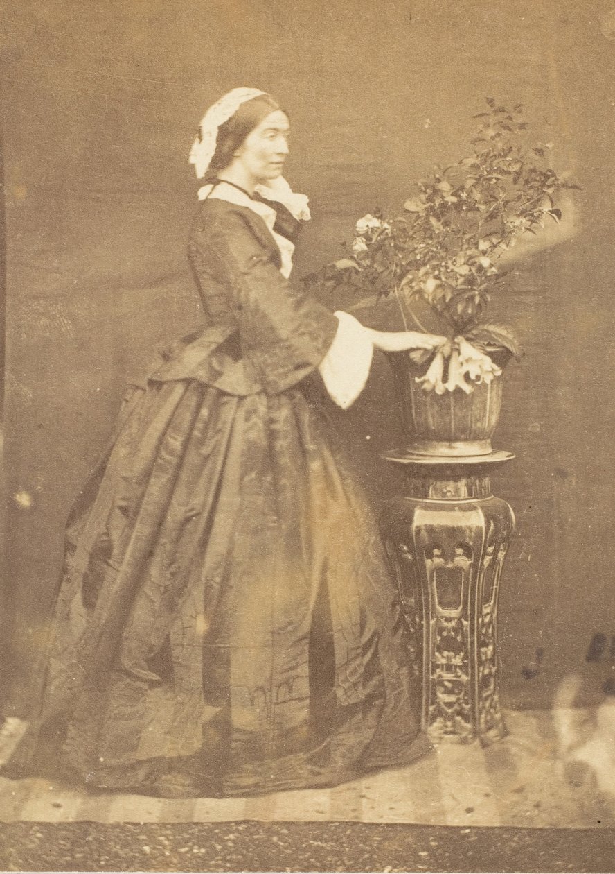 [Viscountess Canning ، باراكبور] ، 1858. بواسطة جون قسطنطين ستانلي