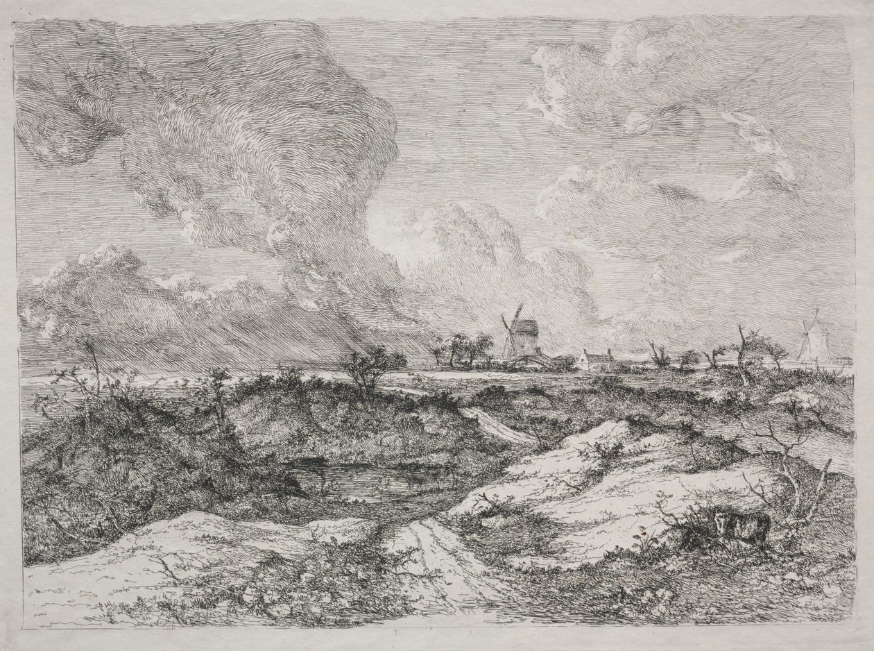 Mousehold هيث ، ج. 1810-13. بواسطة جون كروم