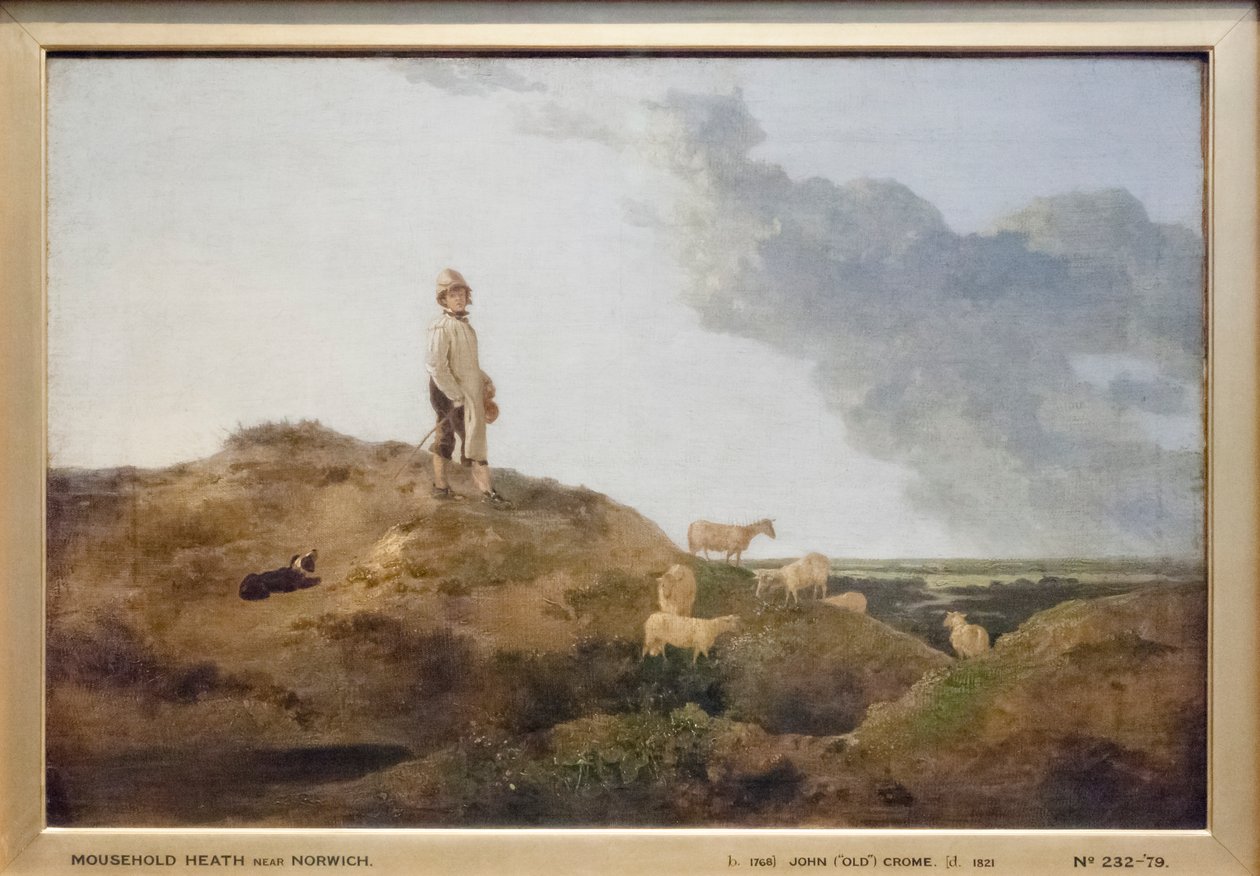 منظر لـ Mousehold Heath بالقرب من نورويتش بواسطة جون كروم