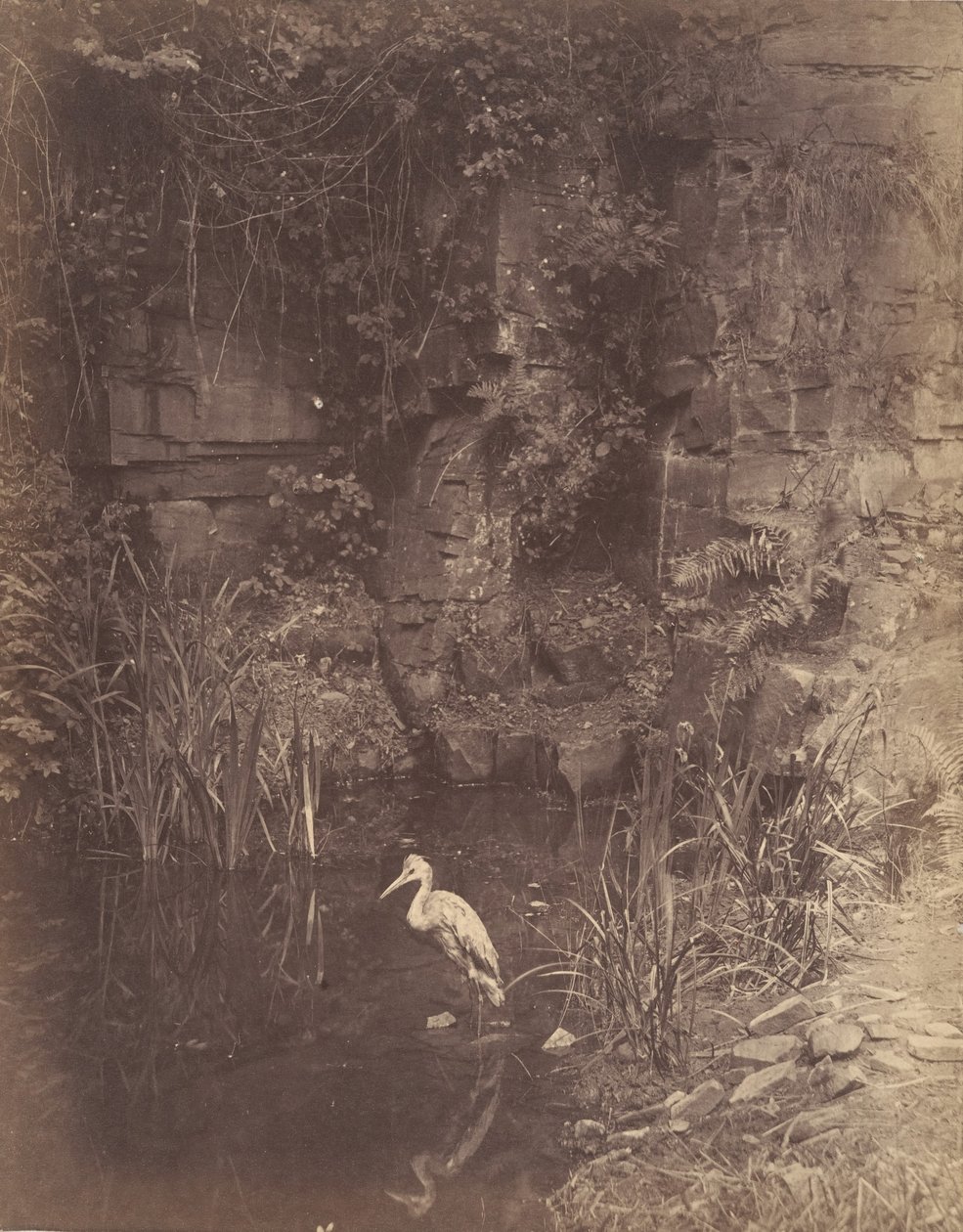 صياد السمك 2 ، 1856 بواسطة جون ديلوين ليويلين