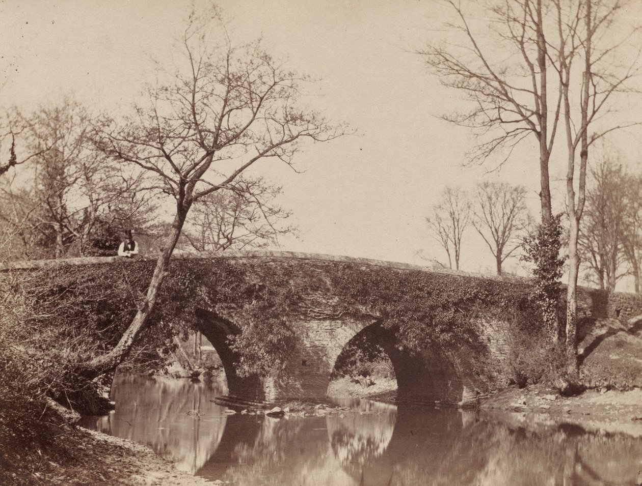 The Country Bridge Staplylton Bridge ، بريستول ، ج. 1854- 1857. بواسطة جون ديلوين ليويلين
